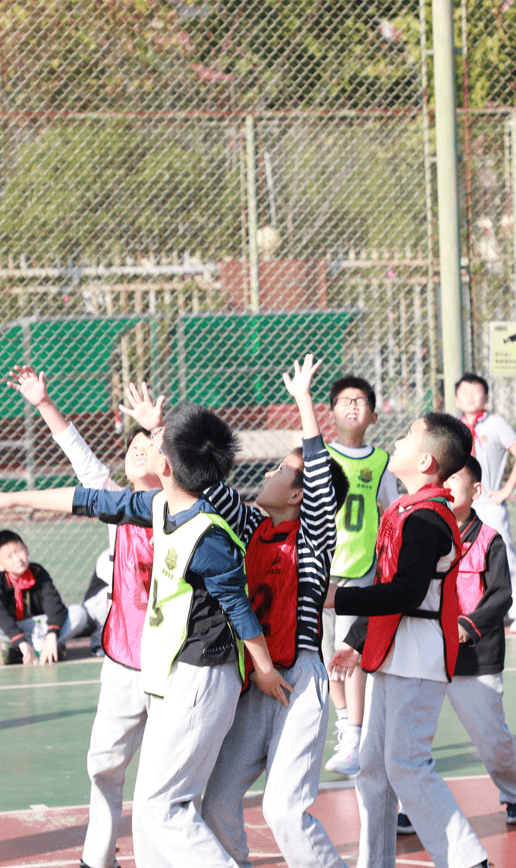 包含哈兰德迎来十二赛季出色发挥，法国队观众热烈欢呼！的词条