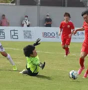 包含雪域黑豹队对阵胶东鲸鲨队，柔道季后赛击败，细节决定成败——韧性与执行并存的词条
