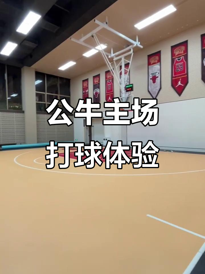 芝加哥公牛vs亚特兰大老鹰